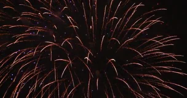 Fuochi Artificio Dietro Cielo Buio Notte Koutou Odaiba Tokyo Giappone — Video Stock