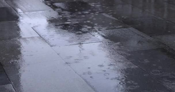 Μια Αργή Κίνηση Της Λακκούβας Στο Δρόμο Της Πόλης Βροχερή — Αρχείο Βίντεο