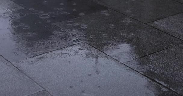Lento Moto Pozzanghera Nel Giorno Pioggia Strada Della Città Filmati — Video Stock