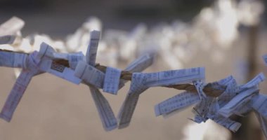 Geleneksel Japon tapınağında Oracles. Suginami-ku Tokyo Japonya-01.08.2018: Bu geleneksel tapınakta Omikuji denilen bir Japon Oracle s. Kamera: Canon EOS 5D mark4