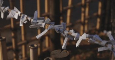 Geleneksel Japon tapınağında Oracles. Suginami-ku Tokyo Japonya-01.08.2018: Bu geleneksel tapınakta Omikuji denilen bir Japon Oracle s. Kamera: Canon EOS 5D mark4