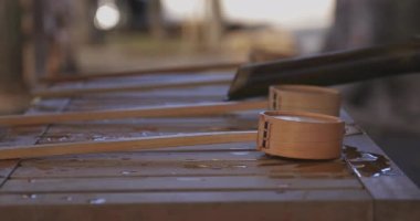 Tokyo 'daki geleneksel Japon tapınağında arınma yalağı. Suginami-ku Tokyo Japonya - 01.08.2018: Geleneksel tapınakta CHOZUYA adı verilen bir arıtma çukuru. Kamera: Canon EOS 5D işaret 4