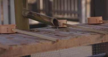 Tokyo 'daki geleneksel Japon tapınağında arınma yalağı. Suginami-ku Tokyo Japonya - 01.08.2018: Geleneksel tapınakta CHOZUYA adı verilen bir arıtma çukuru. Kamera: Canon EOS 5D işaret 4