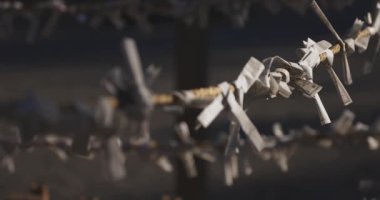 Geleneksel Japon tapınağında Oracles. Suginami-ku Tokyo Japonya-01.08.2018: Bu geleneksel tapınakta Omikuji denilen bir Japon Oracle s. Kamera: Canon EOS 5D mark4