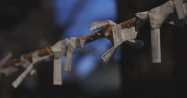Geleneksel Japon tapınağında Oracles. Suginami-ku Tokyo Japonya-01.08.2018: Bu geleneksel tapınakta Omikuji denilen bir Japon Oracle s. Kamera: Canon EOS 5D mark4