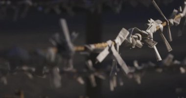 Geleneksel Japon tapınağında Oracles. Suginami-ku Tokyo Japonya-01.08.2018: Bu geleneksel tapınakta Omikuji denilen bir Japon Oracle s. Kamera: Canon EOS 5D mark4