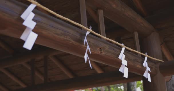 東京のい草神社での精製トラフ 杉並区東京 2018 伝統的な神社で Chozuya の浄化槽です カメラ キヤノン Eos Mark4 — ストック動画