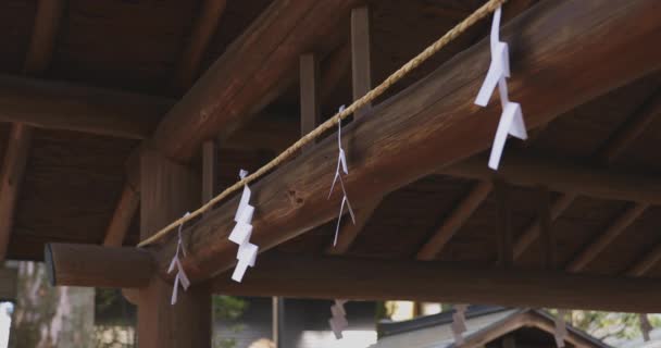 东京伊古萨神社的净化槽 日本东京杉南区 2018 这是一个净化槽的楚雅在传统的神社 Eos 标记4 — 图库视频影像