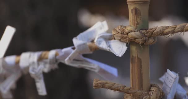 Peramal Kuil Tradisional Jepang Suginami Tokyo Japan 2018 Ini Adalah — Stok Video