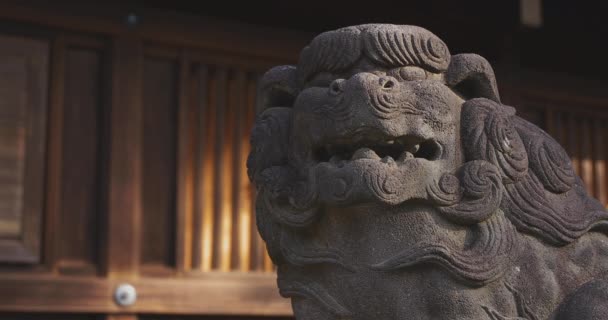 Estátua Cão Guardião Santuário Tradicional Japonês Suginami Tokyo Japan 2018 — Vídeo de Stock