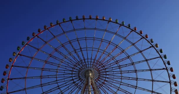 Ferrisův Volant Zábavním Parku Kutou Odaiba Tokio Japan 2018 Kolo — Stock video