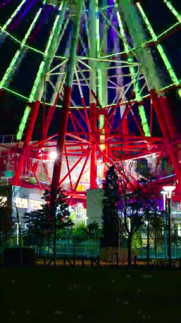 Time Lapse Ruota Panoramica Parco Divertimenti Notte Colpo Verticale Koutou — Video Stock