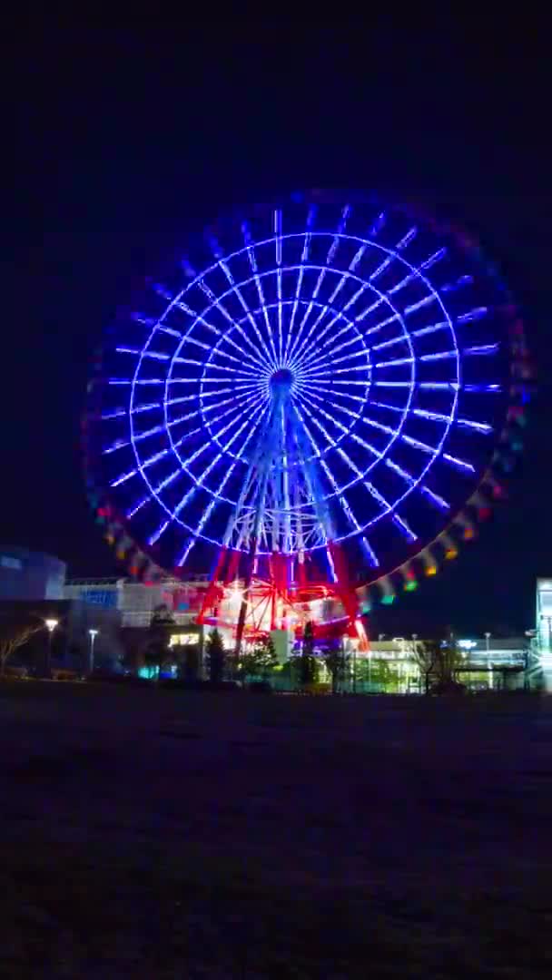 Tijdsverloop Reuzenrad Het Pretpark Nachts Verticaal Schot Koutou Odaiba Tokyo — Stockvideo