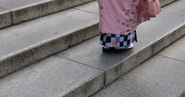 Yürüyen Insanlar Shrine Yakınındaki Kyoto Shi Higashiyama Japonya 2018 Yasaka — Stok video