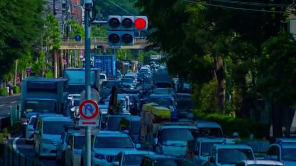 Timelapse Dell Ingorgo Alla Strada Urbana Tokyo Lungo Tiro Tilt — Video Stock