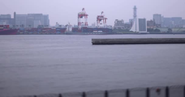 Grúas Industriales Miniatura Cerca Del Muelle Contenedores Tokio Día Nublado — Vídeos de Stock