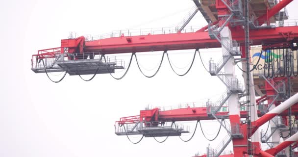 Guindaste Industrial Cais Tóquio Dia Nublado Tiro Longo Imagens Alta — Vídeo de Stock