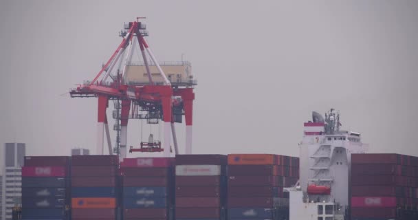 Industriële Kraan Container Tokyo Bewolkte Dag Lange Schot Hoge Kwaliteit — Stockvideo