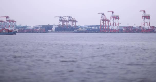 Cruise Ship Miniature Container Wharf Tokyo Cloudy Day High Quality — Vídeo de Stock