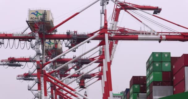 Industriële Kraan Container Tokyo Bewolkte Dag Lange Schot Hoge Kwaliteit — Stockvideo