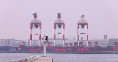 Industrial cranes near the container wharf in Tokyo cloudy day. High quality 4k footage. Koto district Aomi Tokyo Japan 05.20.2022 Here is called Ooi Container Wharf. It is one of the container
