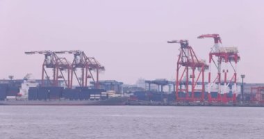 Industrial cranes near the container wharf in Tokyo cloudy day. High quality 4k footage. Koto district Aomi Tokyo Japan 05.20.2022 Here is called Ooi Container Wharf. It is one of the container