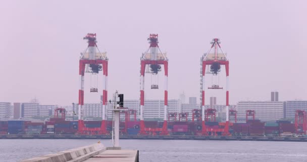 Grues Industrielles Près Quai Conteneurs Tokyo Journée Nuageuse Images Haute — Video