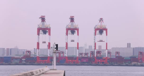 Industrial Cranes Container Wharf Tokyo Cloudy Day High Quality Footage — ストック動画