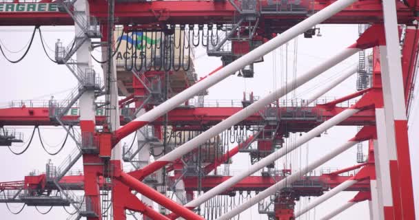 Industriekran Der Werft Tokio Bewölkt Tag Lang Erschossen Hochwertiges Filmmaterial — Stockvideo