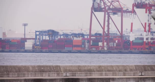 Guindastes Industriais Perto Cais Recipiente Tóquio Dia Nublado Imagens Alta — Vídeo de Stock