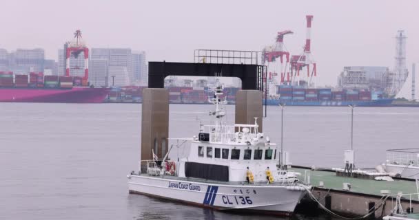 Large Ship Container Wharf Tokyo Cloudy Day High Quality Footage — Stok video