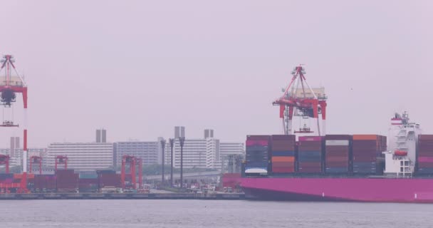 Industrial Cranes Container Wharf Tokyo Cloudy Day High Quality Footage — Video