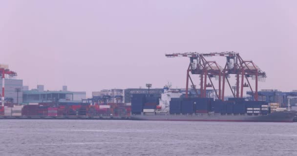 Industrial Cranes Container Wharf Tokyo Cloudy Day High Quality Footage — Vídeo de Stock