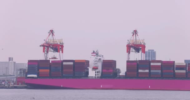 Industrial Cranes Container Wharf Tokyo Cloudy Day High Quality Footage — Vídeo de Stock