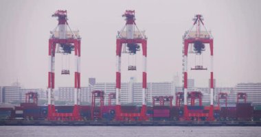 Industrial cranes near the container wharf in Tokyo cloudy day. High quality 4k footage. Koto district Aomi Tokyo Japan 05.20.2022 Here is called Ooi Container Wharf. It is one of the container