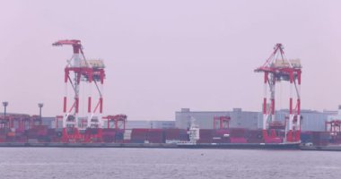 Tokyo Bulutlu Günü 'nde konteynır iskelesinin yanındaki sanayi turnaları. Yüksek kalite 4K görüntü. Koto bölgesi Aomi Tokyo Japonya 05.20.2022 Burası Ooi Konteynır Rıhtımı. Konteynırlardan biri.