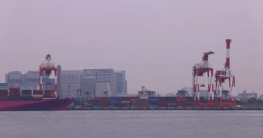 Industrial cranes near the container wharf in Tokyo cloudy day. High quality 4k footage. Koto district Aomi Tokyo Japan 05.20.2022 Here is called Ooi Container Wharf. It is one of the container