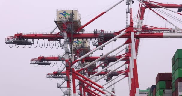 Guindaste Industrial Cais Tóquio Dia Nublado Tiro Longo Imagens Alta — Vídeo de Stock