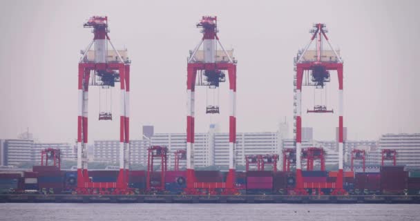Guindastes Industriais Perto Cais Recipiente Tóquio Dia Nublado Imagens Alta — Vídeo de Stock