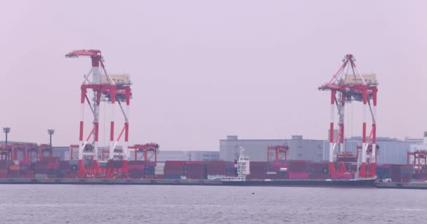 Industriekräne Der Nähe Des Containerhafens Tokio Hochwertiges Filmmaterial Koto District — Stockvideo