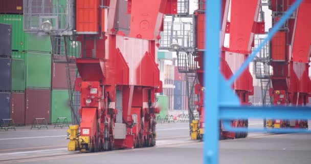 Industrial Crane Container Tokyo Cloudy Day Long Shot High Quality — Vídeo de stock