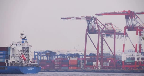 Ein Bewegliches Großes Schiff Der Nähe Des Containerhafens Tokio Hochwertiges — Stockvideo