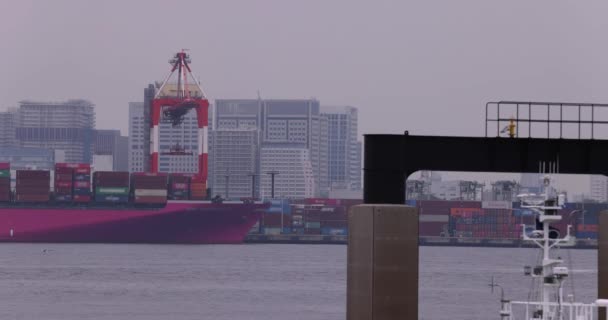Великий Корабель Біля Причалу Контейнерів Токіо Хмарний День Високоякісні Кадрів — стокове відео