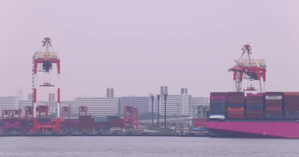 Průmyslové Jeřáby Poblíž Kontejnerového Mola Tokijském Zamračeném Dni Kvalitní Záběry — Stock video