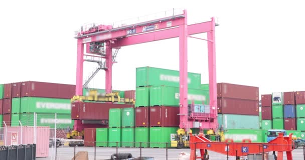 Industrial Crane Container Tokyo Cloudy Day High Quality Footage Koto — Stockvideo