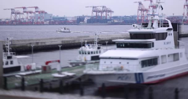 Statek Wycieczkowy Niedaleko Miniaturowego Nabrzeża Kontenerowego Tokio Pochmurny Dzień Wysokiej — Wideo stockowe