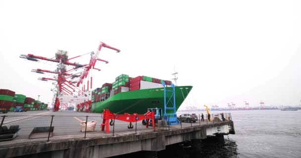 Large Ship Container Wharf Tokyo Cloudy Day Wide Shot Koto — Stock Video