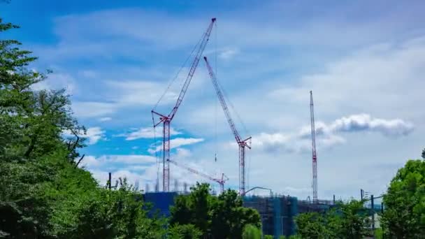 Timelapse Moving Cranes Construction Daytime High Quality Footage Nerima District — Stock videók