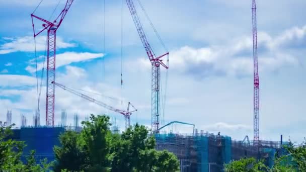 Timelapse Moving Cranes Construction Daytime High Quality Footage Nerima District — Stock video