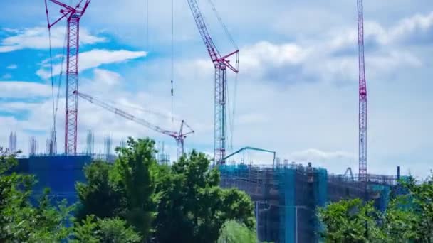 Timelapse Moving Cranes Construction Daytime High Quality Footage Nerima District — Stock video